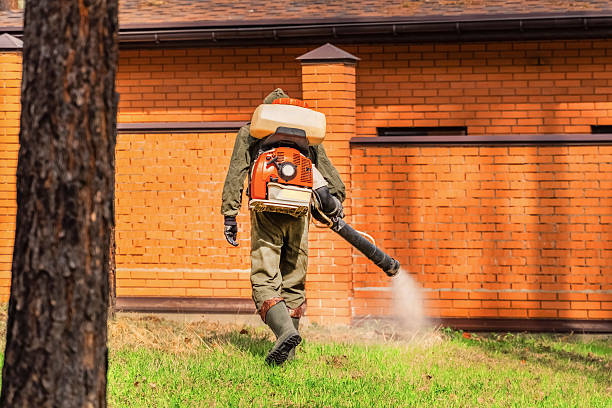 Trusted Cockroach Control service in Fort Shawnee, OH - Nex Pest Control